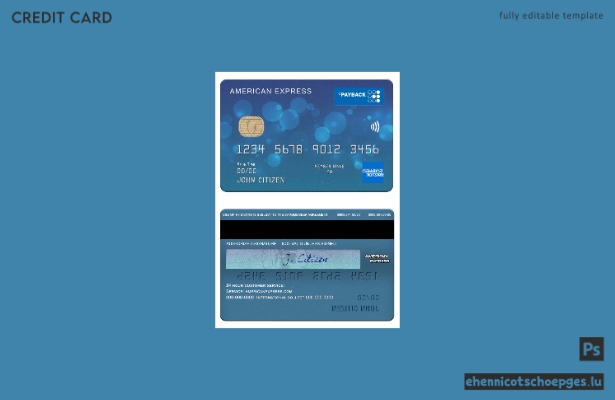 USA First Bank of Wiki Amex Payback Card Beispielvorschau
